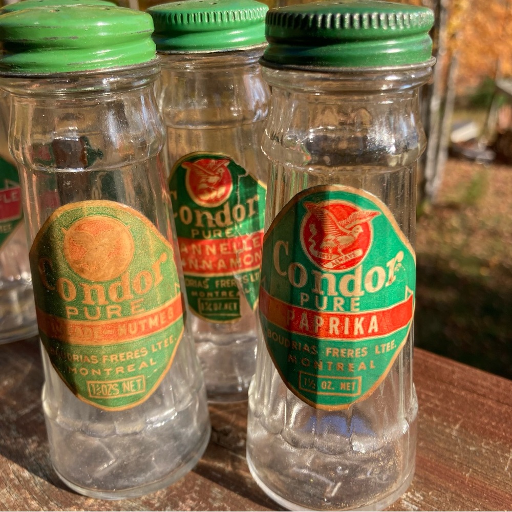 Condor Pure Spice Jars Set with Green Lids